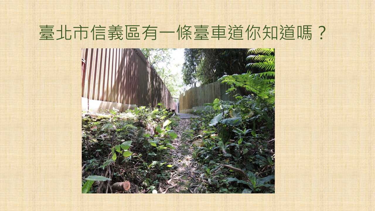 【田調小組】信義區的台車道